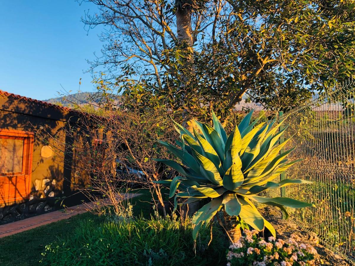 Casa Rural Dona Herminda La Matanza De Acentejo Extérieur photo